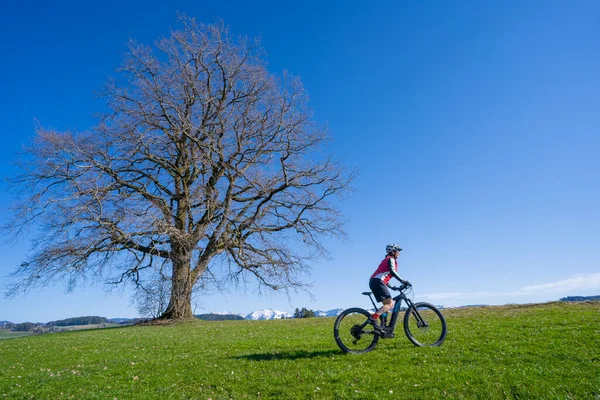 Rangidős Hegyi Kerékpározás Egy Mountain Bike Kora Tavasszal Alatt Egy — Stock Fotó