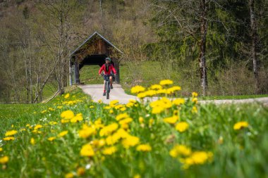 İlkbaharın başlarında, Oberstaufen yakınlarındaki Allgau dağlarında elektrikli dağ bisikletine binen orta yaşlı güzel bir kadın. Ön planda açan bahar çiçekleri ve arka planda ahşap bir köprüsü var.