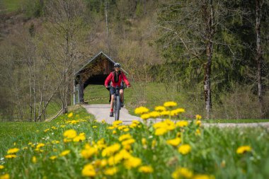 İlkbaharın başlarında, Oberstaufen yakınlarındaki Allgau dağlarında elektrikli dağ bisikletine binen orta yaşlı güzel bir kadın. Ön planda açan bahar çiçekleri ve arka planda ahşap bir köprüsü var.