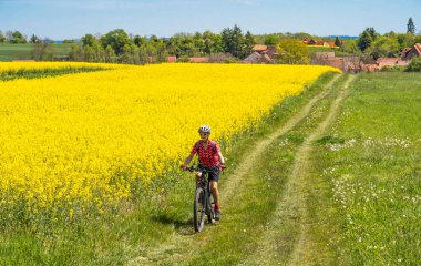 Zaberfeld, Baden-Wrttemberg, Almanya yakınlarındaki Kraichgau bölgesindeki kolza tohumu tarlaları arasında elektrikli bisiklet süren genç ve güzel bir kadın olarak kaldı.