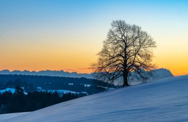 Avusturya 'nın Vorarlberg kentindeki Bregenzer Wald bölgesinde gün batımı. İsviçre' nin Saentis Dağı 'nın muhteşem manzarası.