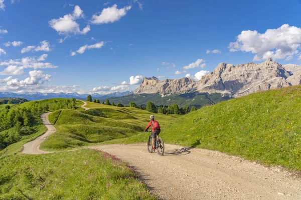 Alta Badia Dolomitleri 'ndeki Pralongia Platosu' nda bisiklet süren oldukça aktif son sınıf öğrencisi bir kadın Backg, South Tirol ve Trentino, İtalya 'da Sasso öldü.