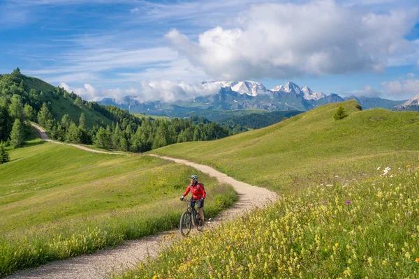 Alta Badia Dolomitleri 'ndeki Pralongia Platosu' nda elektrikli dağ bisikleti süren oldukça aktif yaşlı bir kadın. Arka plan, Güney Tirol ve Trentino, İtalya 'da Marmolata zirvesi buzullarıyla dolu.