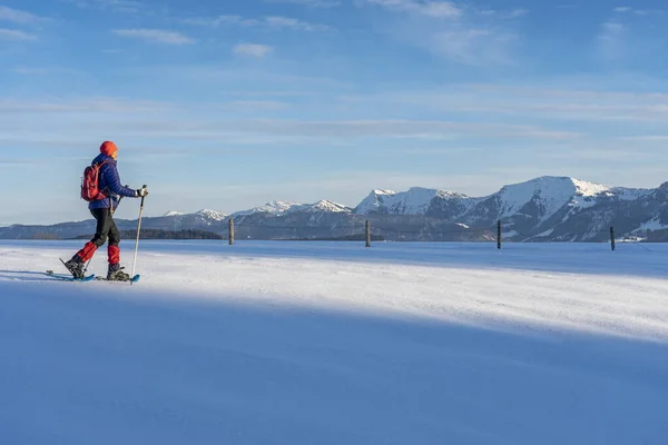 Active Senior Woman Snowshoeing Allgaeu Alps Oberstaufen Bavaria Germany — Φωτογραφία Αρχείου