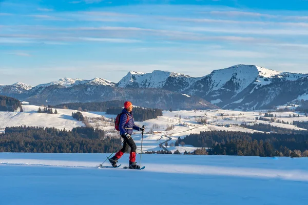 Active Senior Woman Snowshoeing Allgaeu Alps Oberstaufen Bavaria Germany — Stockfoto