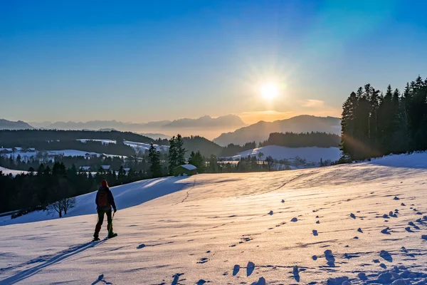 Senior Woman Snowshoeing Sunset Bregenzer Wald Area Vorarlberg Austria Spectacular — Zdjęcie stockowe