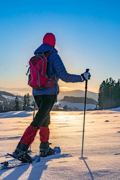 Senior Woman Snowshoeing Sunset Bregenzer Wald Area Vorarlberg Austria Spectacular — Φωτογραφία Αρχείου