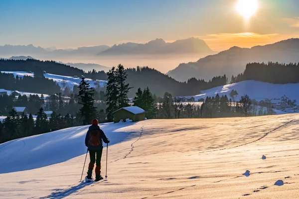 Senior Woman Snowshoeing Sunset Bregenzer Wald Area Vorarlberg Austria Spectacular — Zdjęcie stockowe