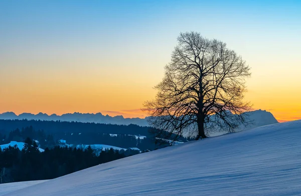 Pôr Sol Área Bregenzer Wald Vorarlberg Áustria Com Vista Espetacular — Fotografia de Stock