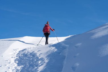 Prato Piazzo 'dan Monte Specie' ye kadar uzanan ünlü Üç Tepe 'nin altında kar ayakkabısı giyen güzel aktif bir kadın. Arka planda Monte Cristallo Zirvesi ile Innichen köyü yakınlarındaki üç meşe ağacı Dolomite bölgesinde.