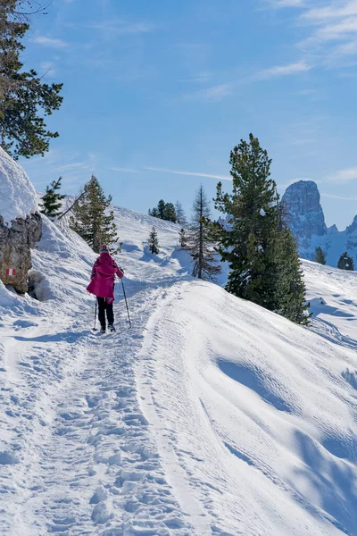 Όμορφη Ενεργό Γυναίκα Snowshoeing Κάτω Από Περίφημο Three Peaks Από — Φωτογραφία Αρχείου