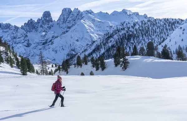 Bela Mulher Ativa Snowshoeing Sob Famosos Três Picos Prato Piazzo — Fotografia de Stock