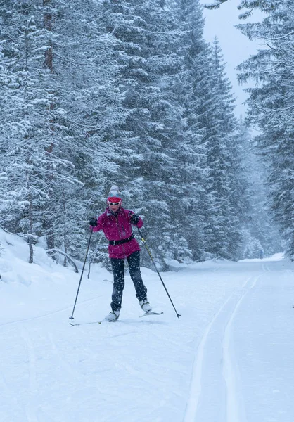 Active Senior Woman Cross Country Skis Ski Track Fischlein Valley — Stock Photo, Image