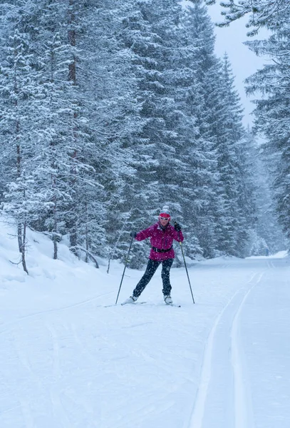 Mujer Mayor Activa Con Esquís Fondo Pista Esquí Valle Fischlein — Foto de Stock