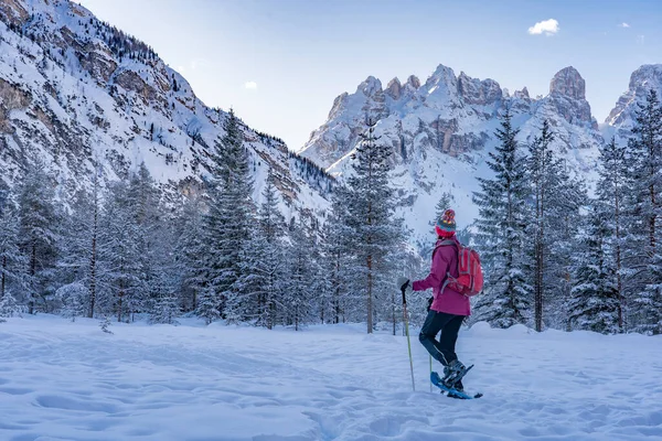 Mulher Sênior Ativo Snowshoeing Hoehlenstein Valley Espetacular Sob Famosos Três — Fotografia de Stock