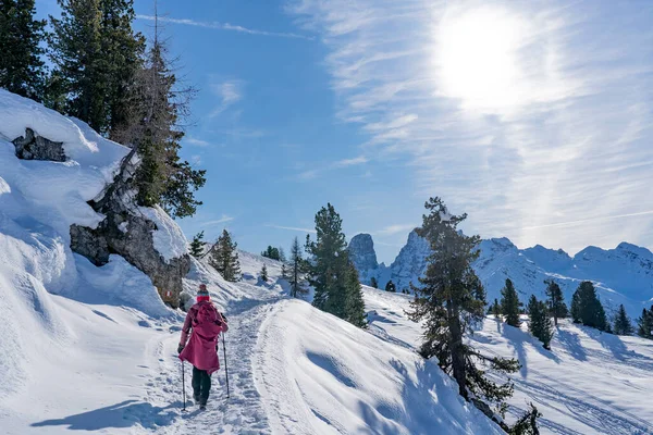 Ενεργή Ηλικιωμένη Γυναίκα Snowshoeing Κάτω Από Περίφημο Three Peaks Από — Φωτογραφία Αρχείου