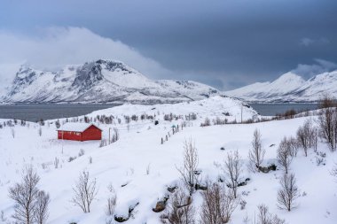 Kuzey Norveç 'teki Vengsy Adası' nda Tromsoe yakınlarında kış manzarası
