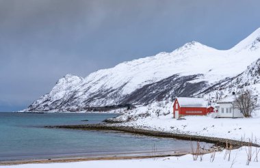Kuzey Norveç 'teki Vengsy Adası' nda Tromsoe yakınlarında kış manzarası