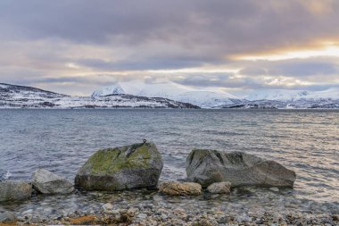 Kuzey Norveç, Tromso yakınlarındaki Kvalya Adası ve fiyortta kış manzarası