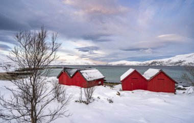 Norveç 'in kuzeyindeki Tromsoe yakınlarındaki Kvaloeya Adası' nda dramatik gökyüzü manzaralı kışın manzarası.
