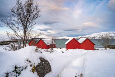 Norveç 'in kuzeyindeki Tromsoe yakınlarındaki Kvaloeya Adası' nda dramatik gökyüzü manzaralı kışın manzarası.