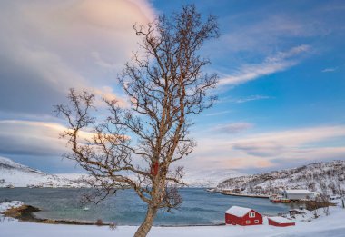 Norveç 'in kuzeyindeki Tromsoe yakınlarındaki Kvaloeya Adası' nda dramatik gökyüzü manzaralı kışın manzarası.