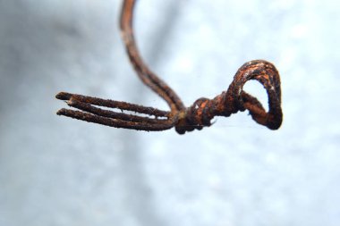 Demir kafes paslanmaya ve kırılmaya başlamıştı.