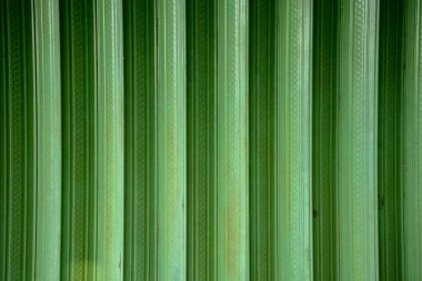 Arka plan, yuvarlanan kapılar yeşil