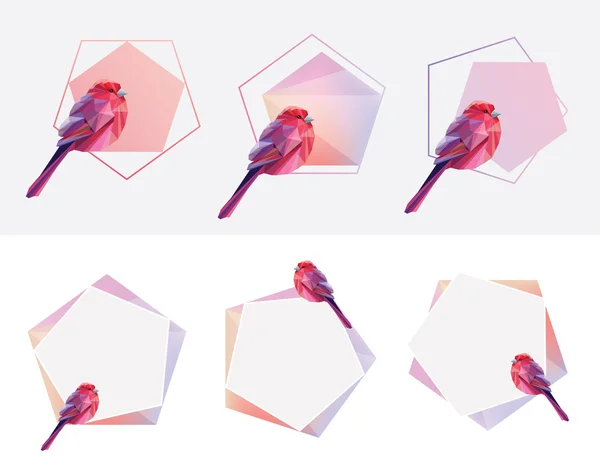 Polygonální tvary s růžovými ptáky — Stockový vektor