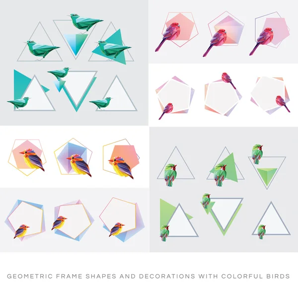 Formes de cadre avec des oiseaux colorés . — Image vectorielle