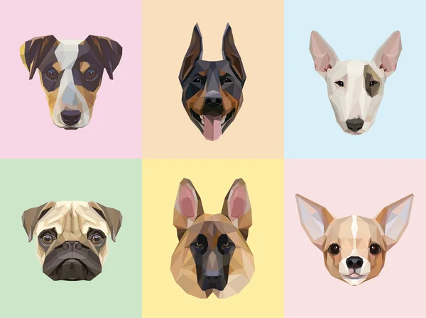 Razas de perros retratos — Vector de stock