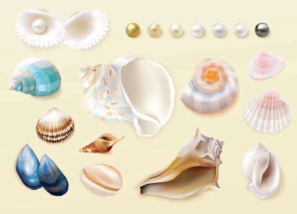 Mořské mušle a perly kolekce — Stockový vektor