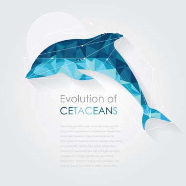 Yunus anatomi düşük sanat tarzı