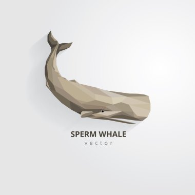 Sperm balinası düşük çokgen tarzı
