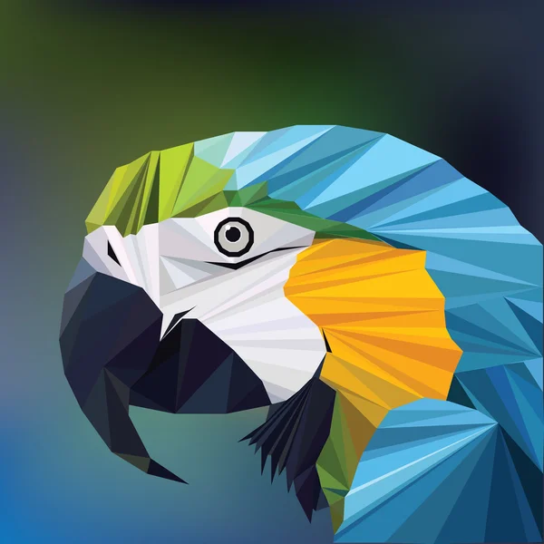 Polygon macaw papegoja huvud — Stock vektor