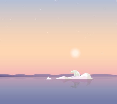 polar bear on the iceberg