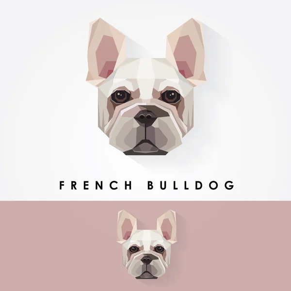 Francia bulldog kutya — Stock Vector