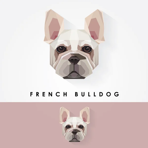 Bouledogue français — Image vectorielle