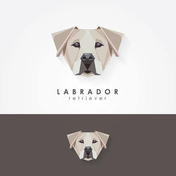Labrador retriever logotipo poligonal —  Vetores de Stock