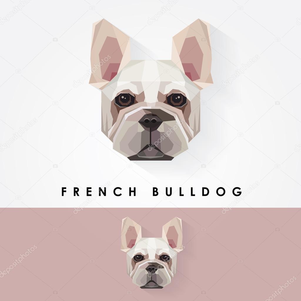 French bulldog dog