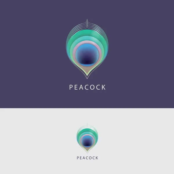 Logotipo colorido de penas de pavão —  Vetores de Stock