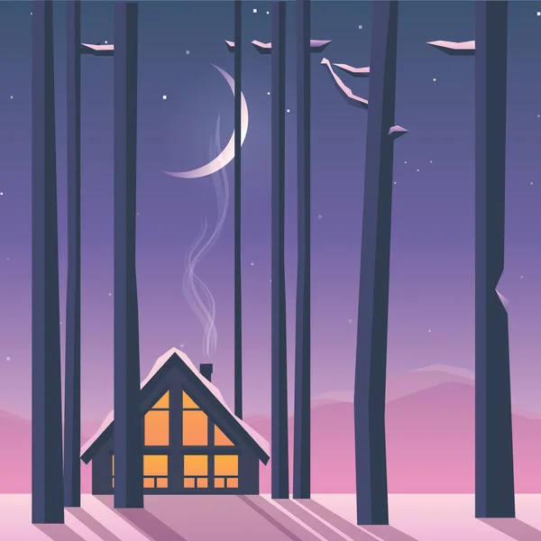 Hermoso paisaje tranquilo invierno — Vector de stock