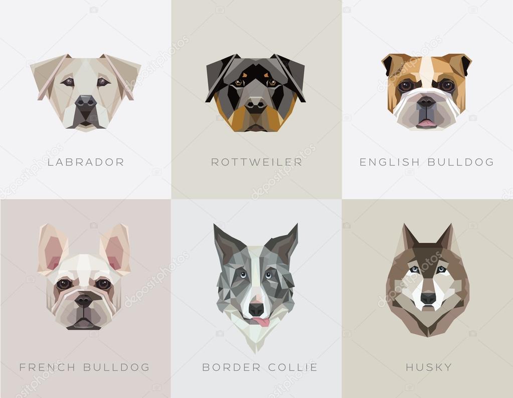 Modern contemporary geometric dog breeds