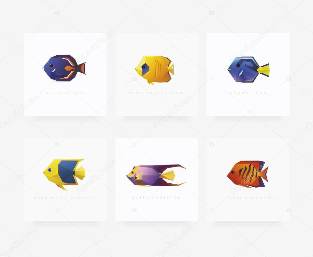 Set of six tropical fishes