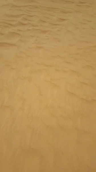 Dune Sabbia Nel Deserto Del Nord Africa — Foto Stock