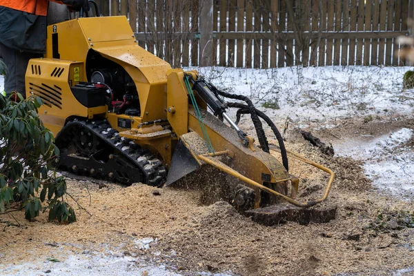 Stump Grinding View Right Cutting Disc Visible Close Proximity Grinding — Stock Photo, Image