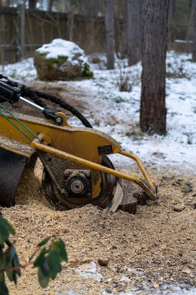 Stump Grinding View Right Cutting Disc Visible Close Proximity Grinding — Stock Photo, Image