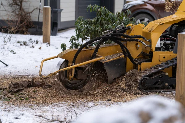 Stump Grinding View Right Cutting Disc Visible Close Proximity Grinding — Stock Photo, Image