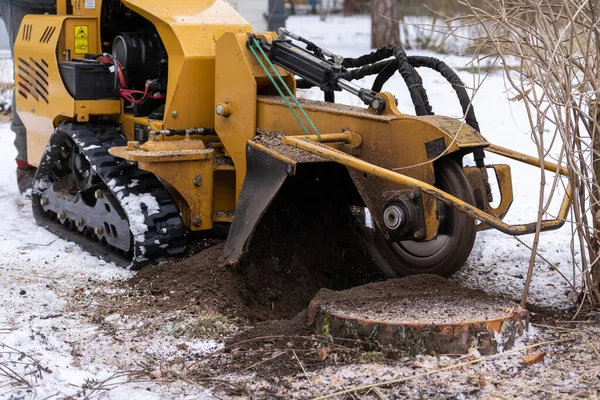 Stump Grinding View Right Cutting Disc Visible Close Proximity Grinding — Stock Photo, Image