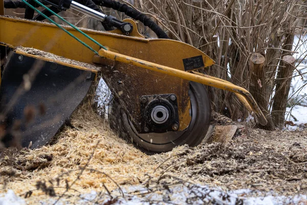 Stump Grinding View Right Cutting Disc Visible Close Proximity Grinding — Stock Photo, Image